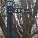 이현소류지 | 거창 두무산 ,오도산 (2021.11.20)