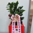 자라나는 수학 교습소 이미지