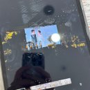 디에스컨벤션 26년도 하반기 견적공유(O) 계약 (O) / 가성비최고라고 생각되는 웨딩홀