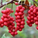 진안마이골 이미지