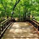 아산면사무소 이미지