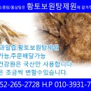 황토보원탕제원 네이버블로그