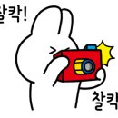 워시데이세븐 이미지