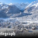 Beauty in Dog's 이미지