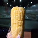 부라더옥수수앤김치(운정점)