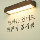 비올레 마지 이미지