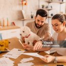 애니펫동물병원 | 2025년 펫 보험 비교 추천 🐶🐱 반려동물보험 제대로 고르는 꿀팁 총정리!