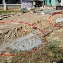 강원대학교 동물생명과학대학 부속목장 | 강원대학교 목장, 환경 무시 축사 건립