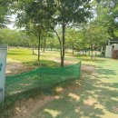 포항골프장(대중9홀) 이미지