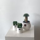 꽃바람화원 이미지