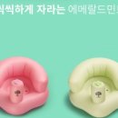 스톤트리