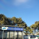 소나무세차장 이미지