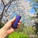 GS25송탄하이퍼점 | 글로 하이퍼 프로 혜택 받고 챙겨보자