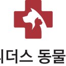 리더스동물병원 이미지