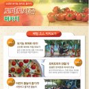 냉산친환경체험농장 이미지