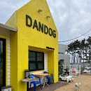단독 dandog 이미지
