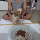금비마트 이미지