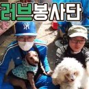 러브펫츠 이미지