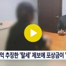 2023. 7. 2. 수백억 추징하고 포상금 '0원'…제보자는 고소당해 실형 / SBS 8뉴스 이미지