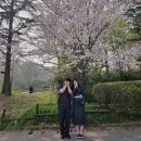 전라카인테리어 | 4월 전북 전주 1박2일 여행 코스 ㅣ 맛집 카페 포토존 관광지 총 정리
