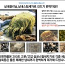 메트로스팀세차 이미지