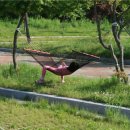 지리산오토캠핑장 이미지