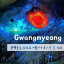 광명 꽃 수족관 | 광명동굴 입장료 할인 총정리｜겨울 실내 여행지 필수코스