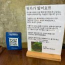 피제리아노이 | 화덕피자 맛집 내돈내산 솔직후기 (feat. 태안 피제리아노이 웨이팅, 태안피자 맛집 추천, 태안 현지인...