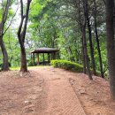 단대게이트볼장 이미지