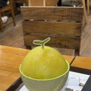 [2024년] 7월 넷째 주(7/22 ~ 7/28) 꽁알꽁알