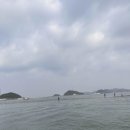 낚시타운좌대낚시터 | 2023.08.14 당진 난지도 도비도 낚시타운 좌대낚시터 방문기