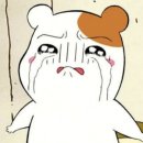 핫코크피트니스