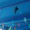 루이 925 이미지