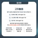 고지혈증의 이해와 관리 이미지