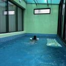 경주 로투스 28 | [경주] 독채풀빌라 로투스28후기