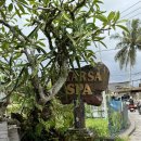 동화약방 | [인도네시아 발리여행] 우붓 카르사스파 마사지 예약 방법 및 후기