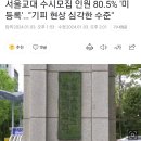 잘나가던 서울교대 근황 이미지