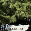 썬비치모텔 | ‘양양 하조대 썬비치펜션’ 솔직후기! 침구가 친절하고 사장님이 따뜻해요 (303호)