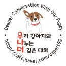 도그히얼(DOG HERE) | 우리 강아지 건강하게 장수하는 비결!! 오래오래 건강한개 포에버도그 서평후기입니다.