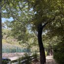 무무대 | 인왕산 숲속쉼터 코스｜인왕산 가벼운 트레킹,호랑이 동상,초소책방,무무대전망대