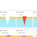 닥터조제통외과의원 이미지