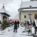 할슈타트 이미지