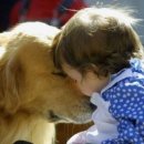 아이페티앙 이미지