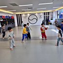 용인대 팀타이거 태권도장 | 대장초 태권도, 친구들과 함께 배우는 태권도, 사회성도 쑥쑥!