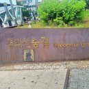 함께걷는길 | [서울 가볼만한곳] 도심 속 힐링 로드, 가족과 함께 걷는 경의선숲길 산책 후기 (위치/주차/꿀팁 총정리)