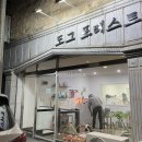 도그 포레스트 이미지