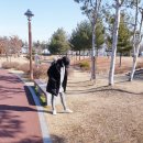여자 흰색 스니커즈 터치그라운드 메모리폼으로 편하게 신어요