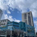 서울샤플란트치과의원 이미지