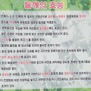 모이세막국수