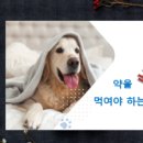 킴스 펫클리닉 이미지